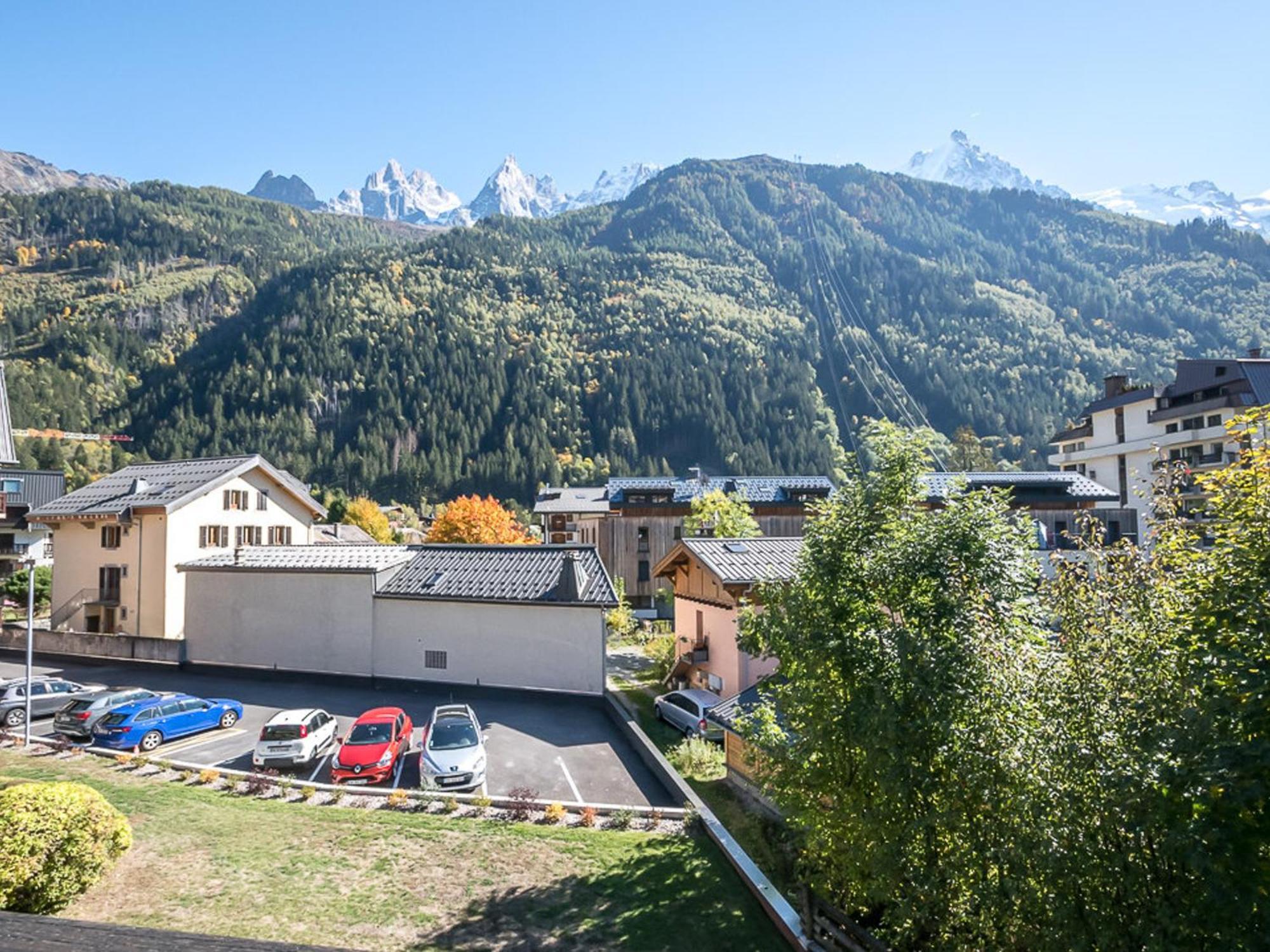 : Charmant, Balcon Vue Mont-blanc, Parking, Wifi, Animaux Acceptes - Fr-1-343-221 *